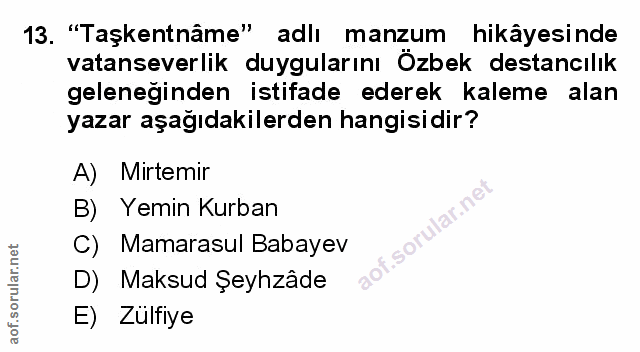 Soru 13