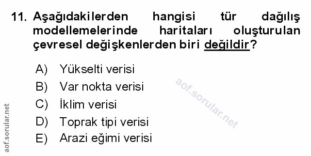 Soru 11