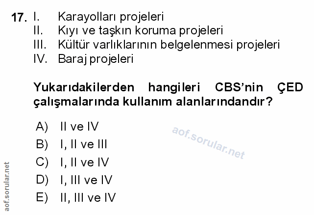 Soru 17