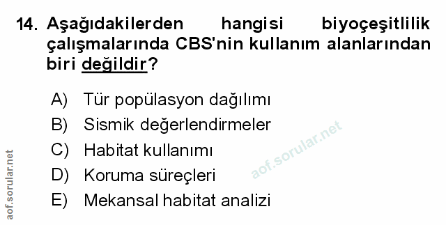 Soru 14