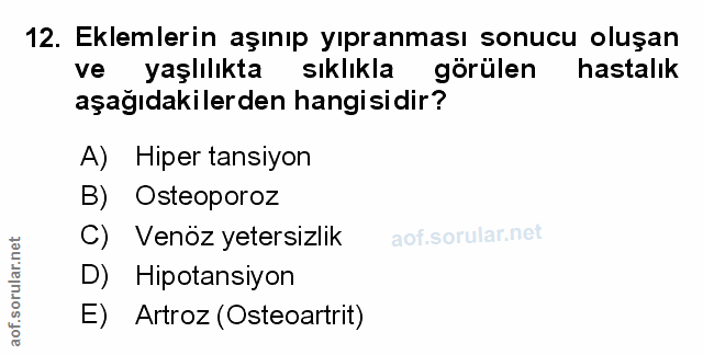 Soru 12