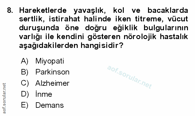 Soru 8