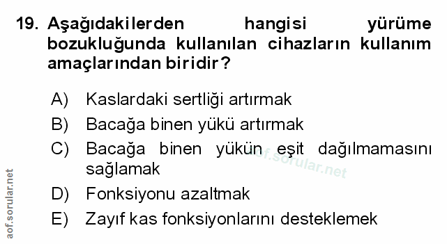 Soru 19