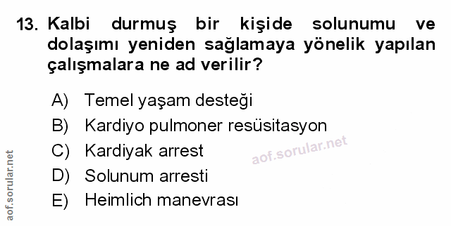 Soru 13