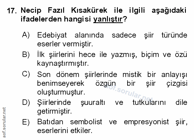 Soru 17