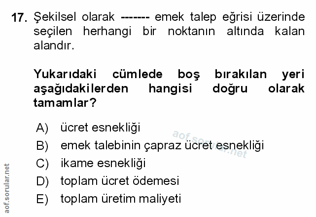 Soru 17