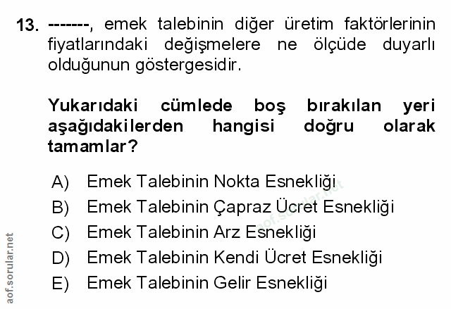 Soru 13