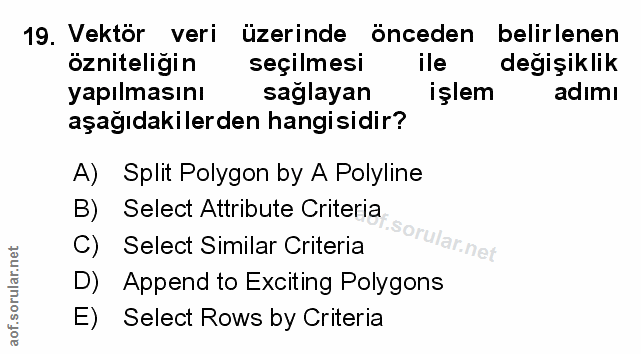 Soru 19