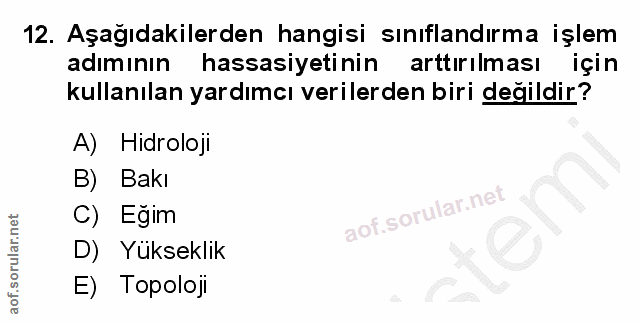 Soru 12