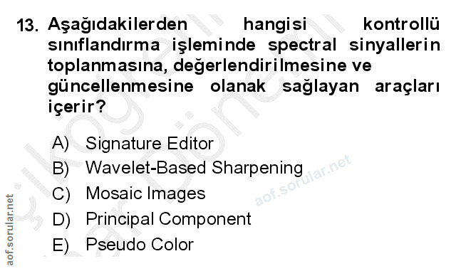 Soru 13