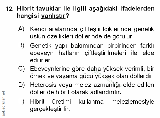 Soru 12
