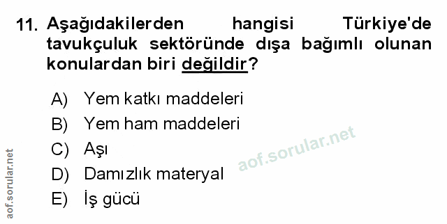 Soru 11