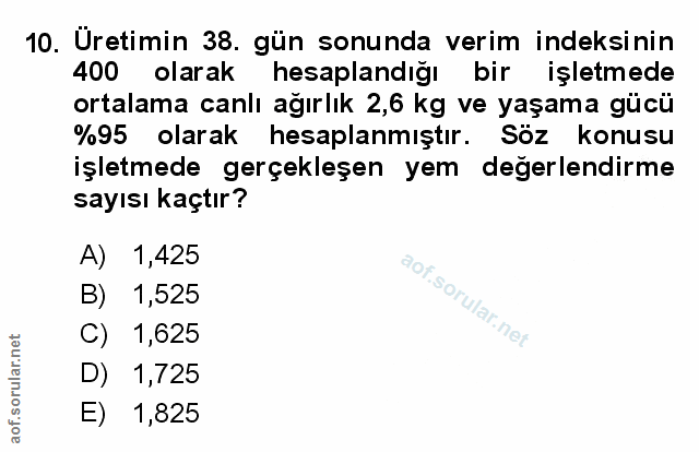 Soru 10