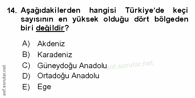 Soru 14