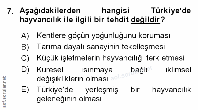 Soru 7