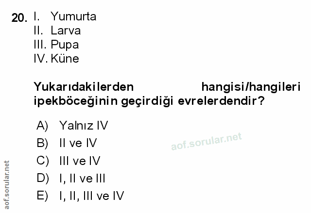 Soru 20
