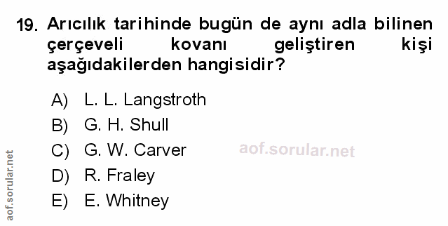 Soru 19