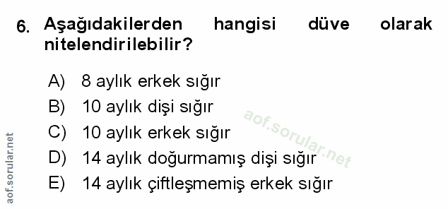 Soru 6