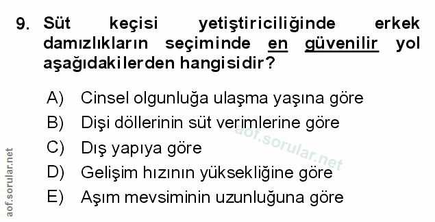 Soru 9