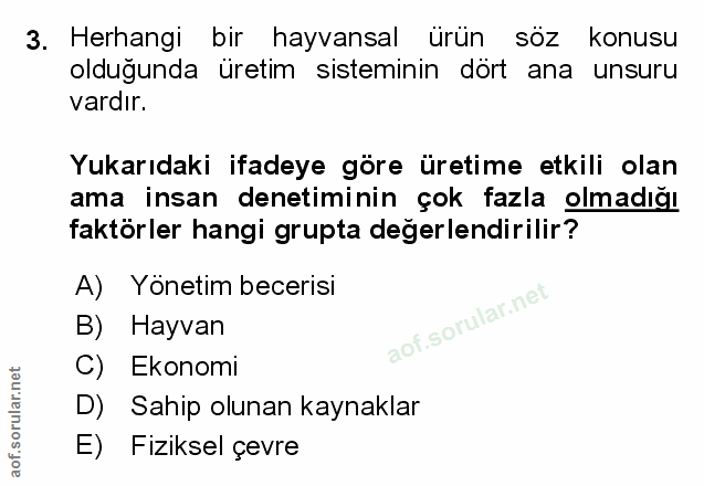 Soru 3