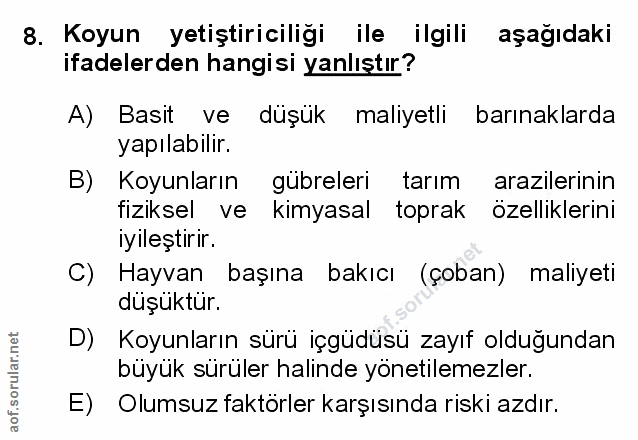 Soru 8