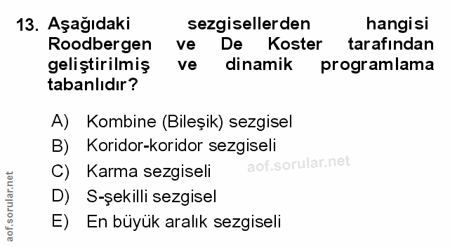 Soru 13