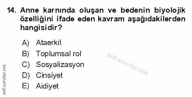Soru 14