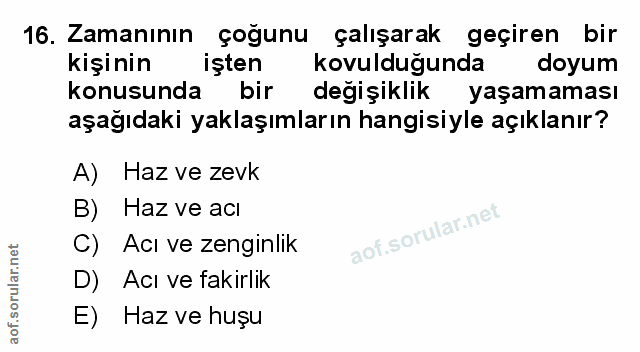 Soru 16