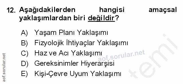 Soru 12