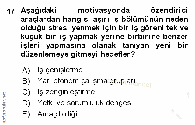 Soru 17