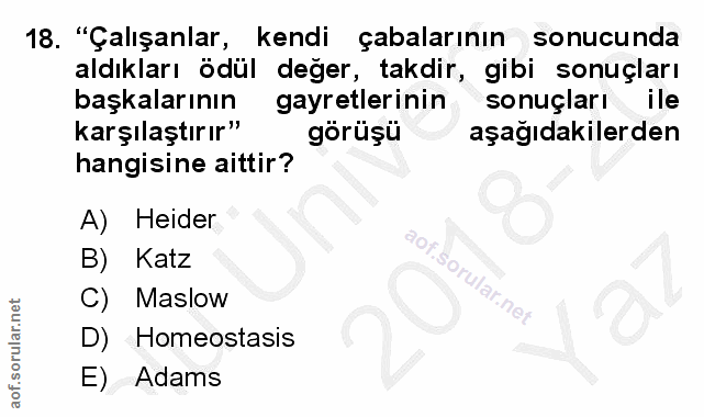 Soru 18