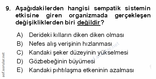 Soru 9