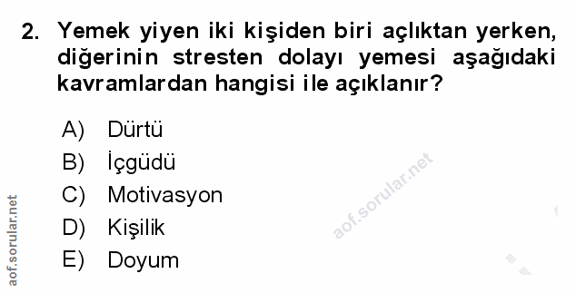 Soru 2