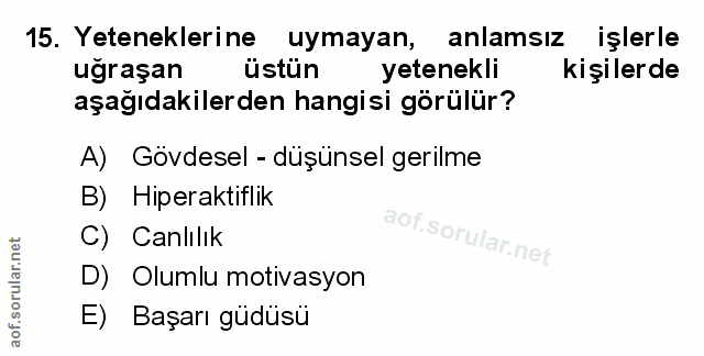 Soru 15