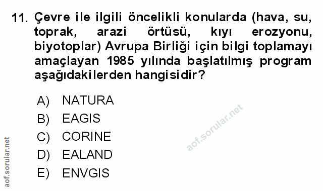 Soru 11