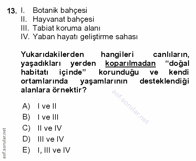 Soru 13