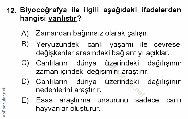 Soru 12