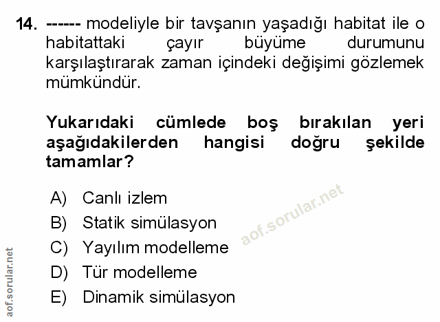 Soru 14