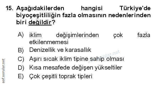 Soru 15