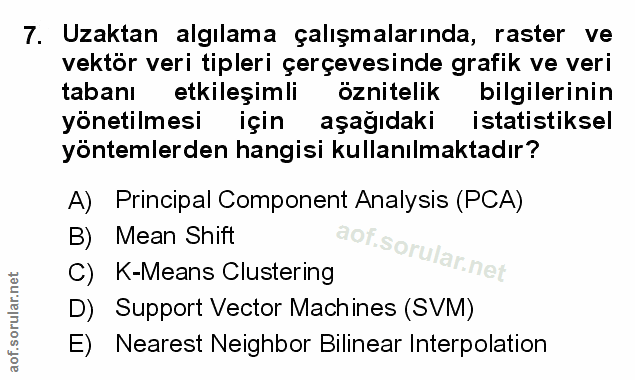Soru 7