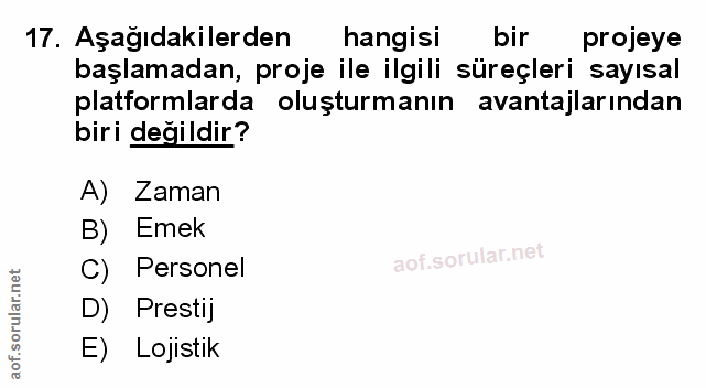 Soru 17