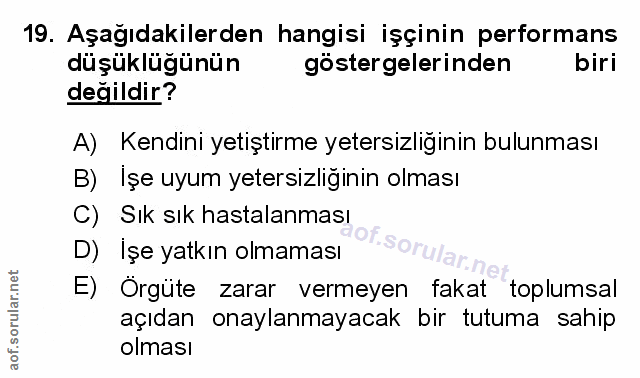 Soru 19