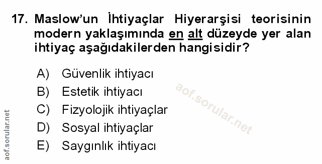 Soru 17