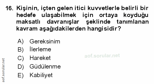 Soru 16