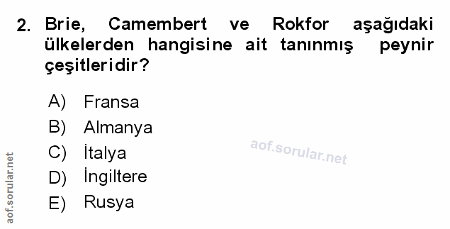 Soru 2