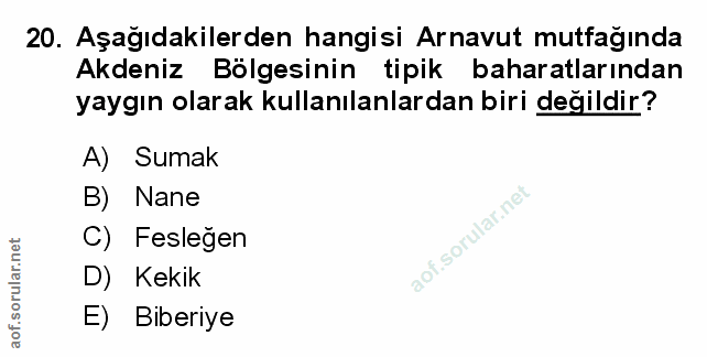 Soru 20