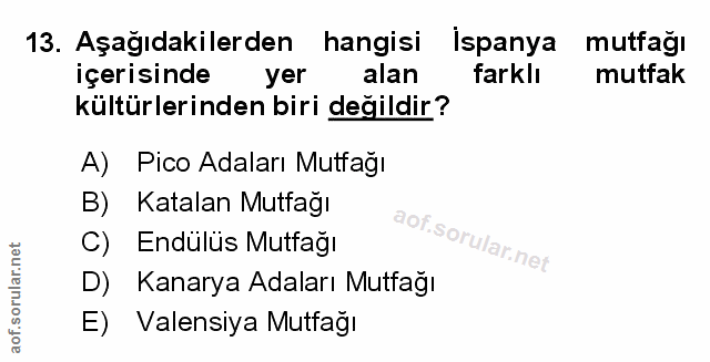 Soru 13