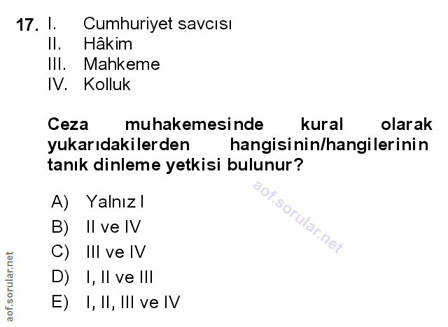 Soru 17