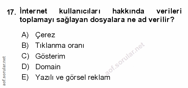 Soru 17