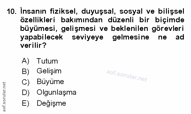 Soru 10